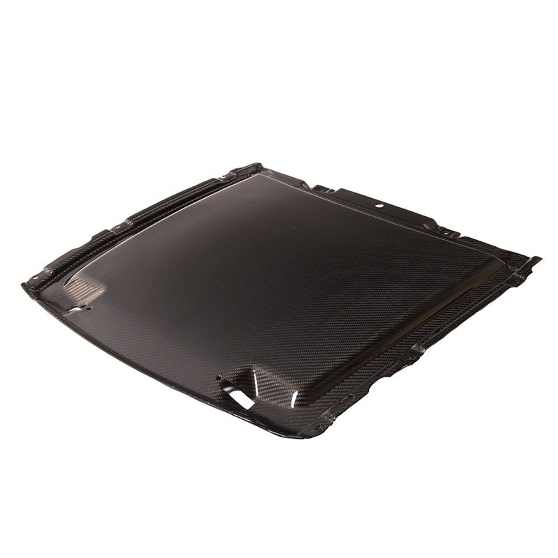 2020 - 23 Mustang GT500 Carbon Fiber Rain Tray Cover