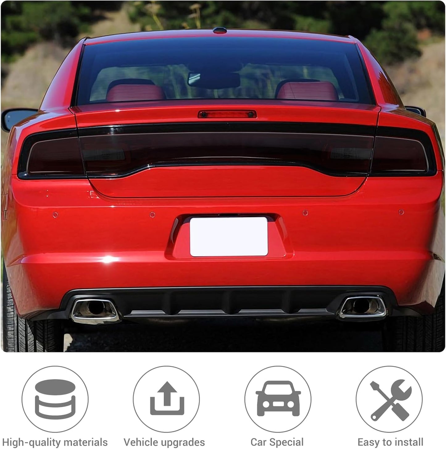 2011 - 14 Charger Smoked Tail Light Tint