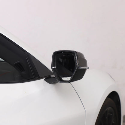 C8 Corvette Carbon Fiber Side Mirrors Frame Trim