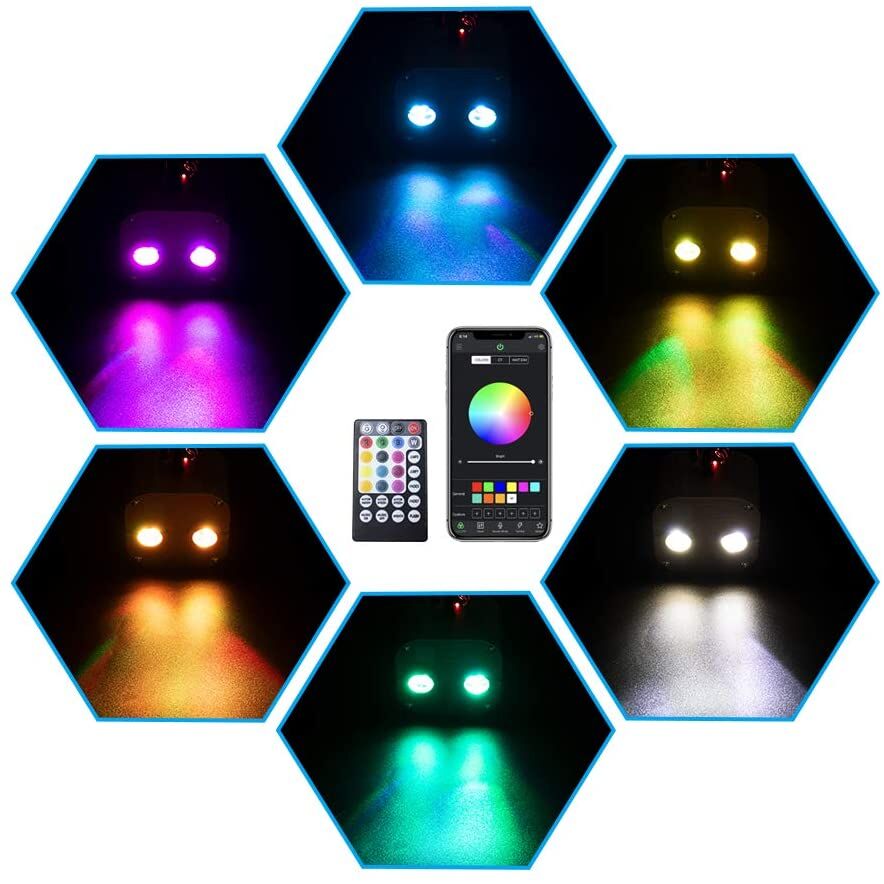 Starlight Headliner Ceiling 20W Dual Projector Kit (Ultra Bright + Twinkle)