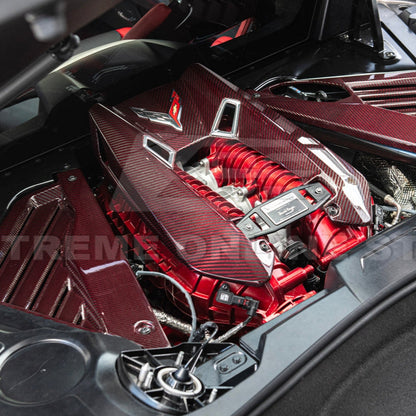 C8 Corvette Z06 5.5L LT6 Carbon Flash Painted Engine Cover