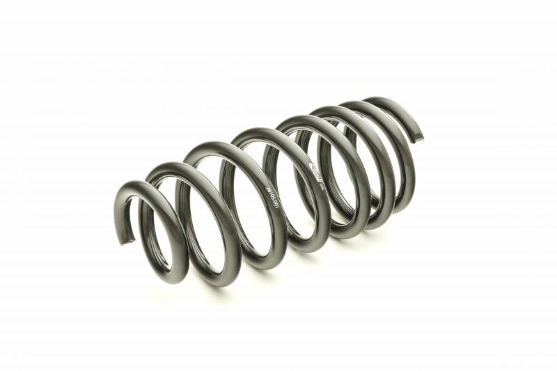 2015 - 22 Dodge Charger RT Eibach Pro Lowering Springs Kit