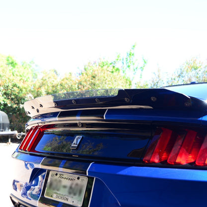 2015 - 23 Mustang Track Pack Wicker Bill - ZL1Addons