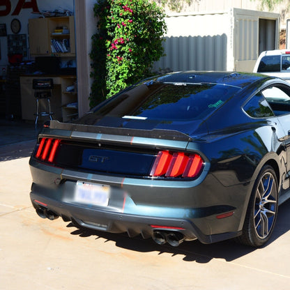 2015 - 23 Mustang Small Wicker Bill - ZL1Addons