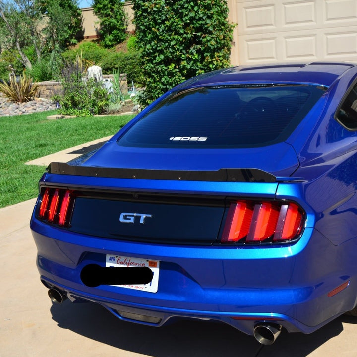 2015 - 23 Mustang Small Wicker Bill - ZL1Addons