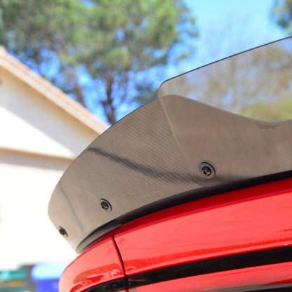 2015 - 23 Charger Carbon Fiber Stealth Wickerbill