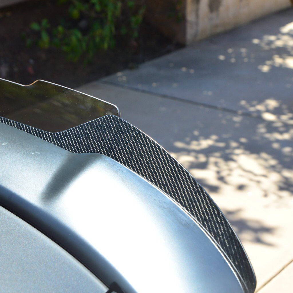2015 - 23 Charger Carbon Fiber Stealth Wickerbill