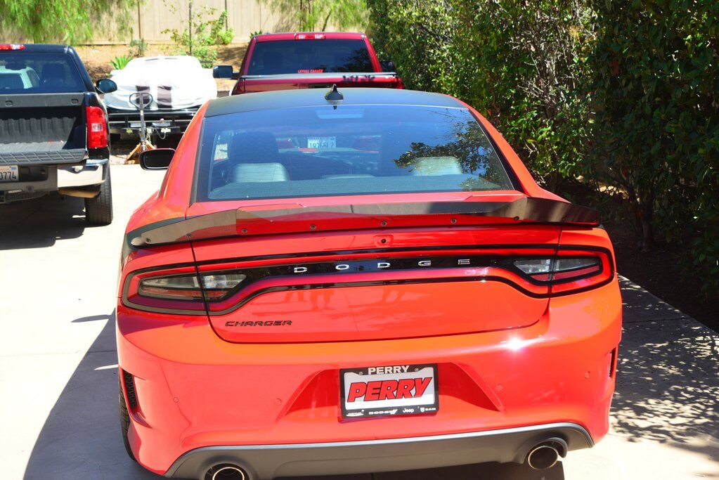 2015 - 23 Charger Carbon Fiber Stealth Wickerbill