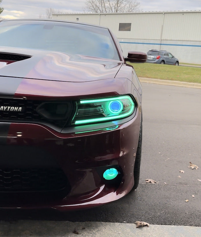 2015 - 24 Charger Fog Light Flowseries Halo Kit