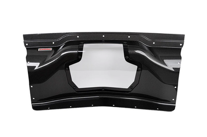C8 Coupe Stingray / Z06 / E-Ray Carbon Fiber Trunk Panel