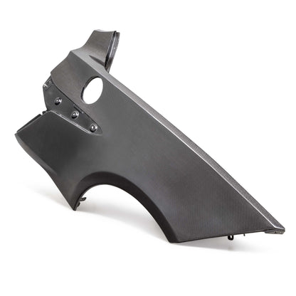 C8 Corvette Z06 Carbon Fiber Rear Quarter Panels (Pair)