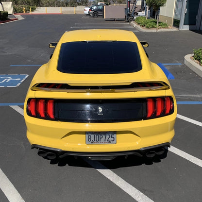 2018 - 23 Mustang Performance Pack Wicker Bill