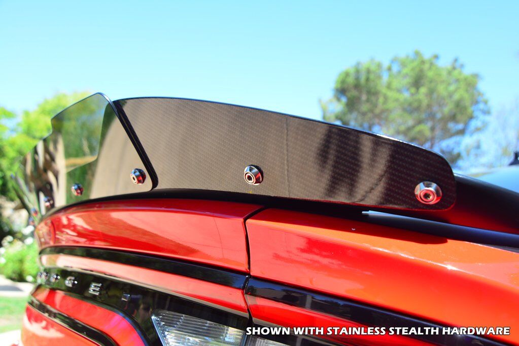 2015 - 23 Charger Carbon Fiber Stealth Wickerbill