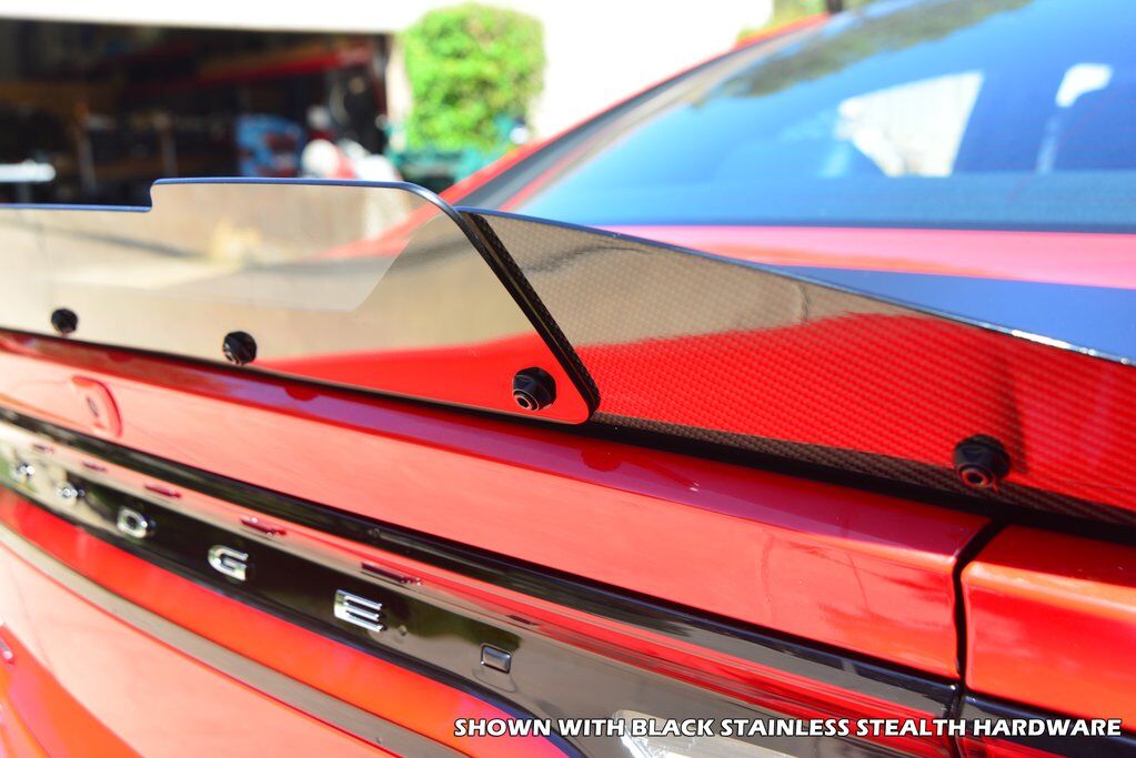 2015 - 23 Charger Carbon Fiber Stealth Wickerbill