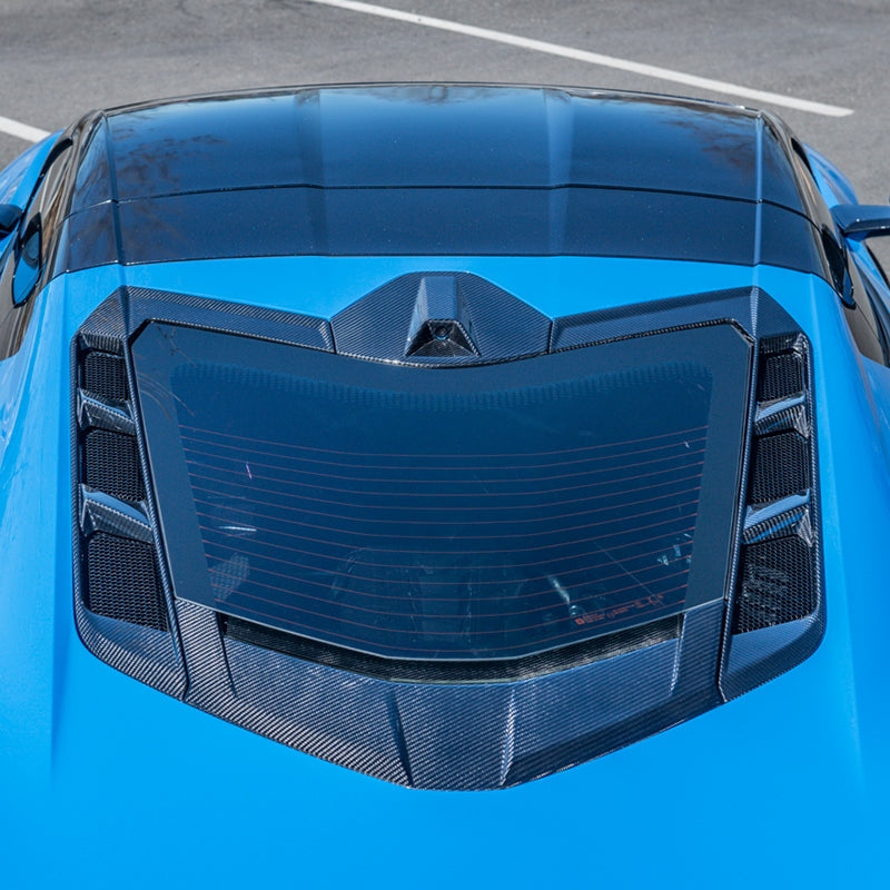 C8 Corvette Coupe Carbon Fiber Lower Window Trim